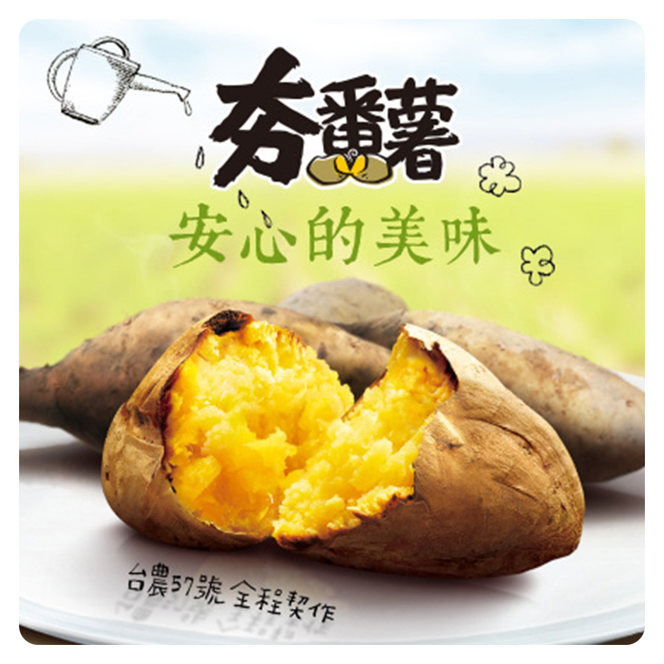 夯番薯大哉問